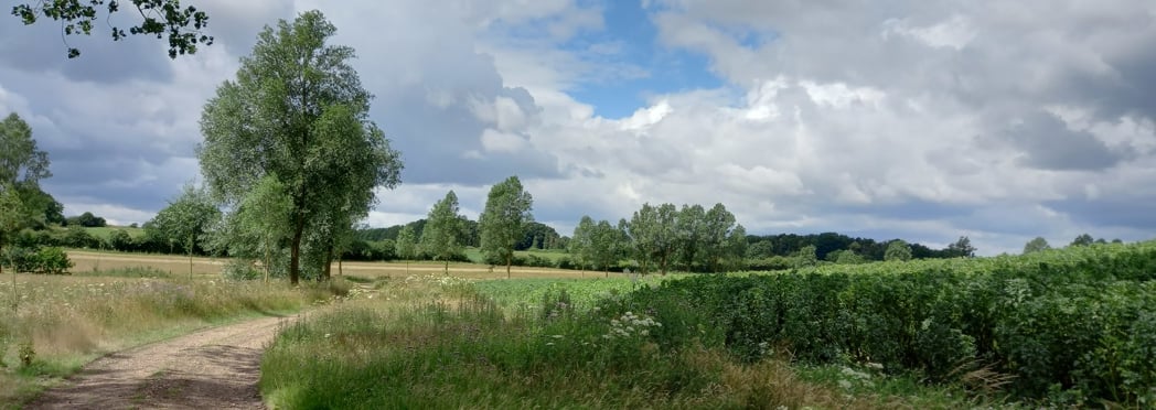 Image of Braxted Park