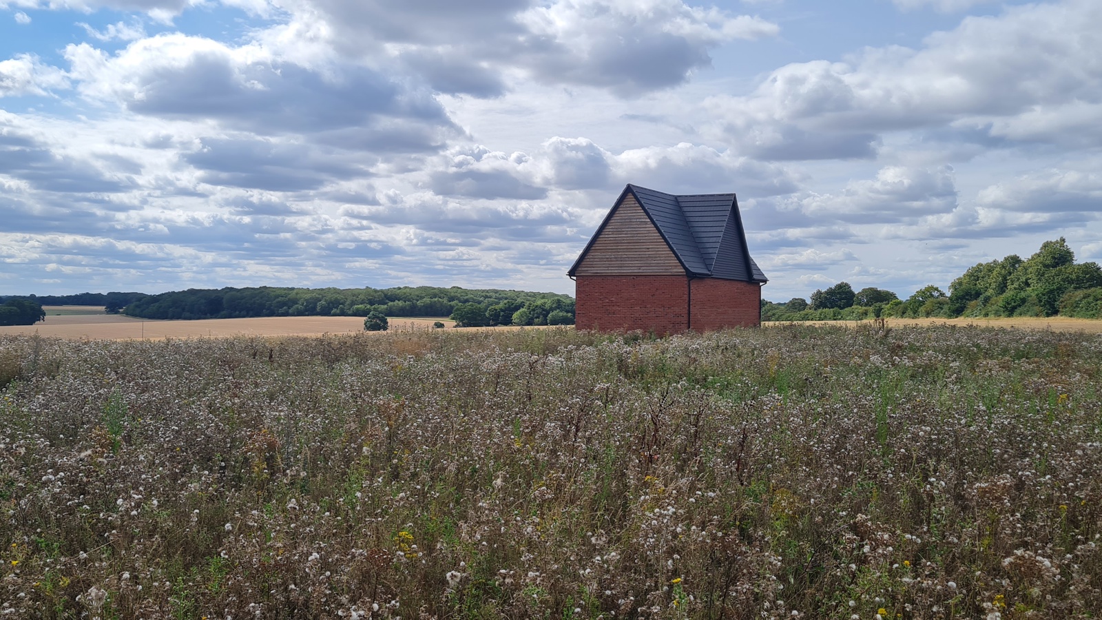 Image of 20230825_135319