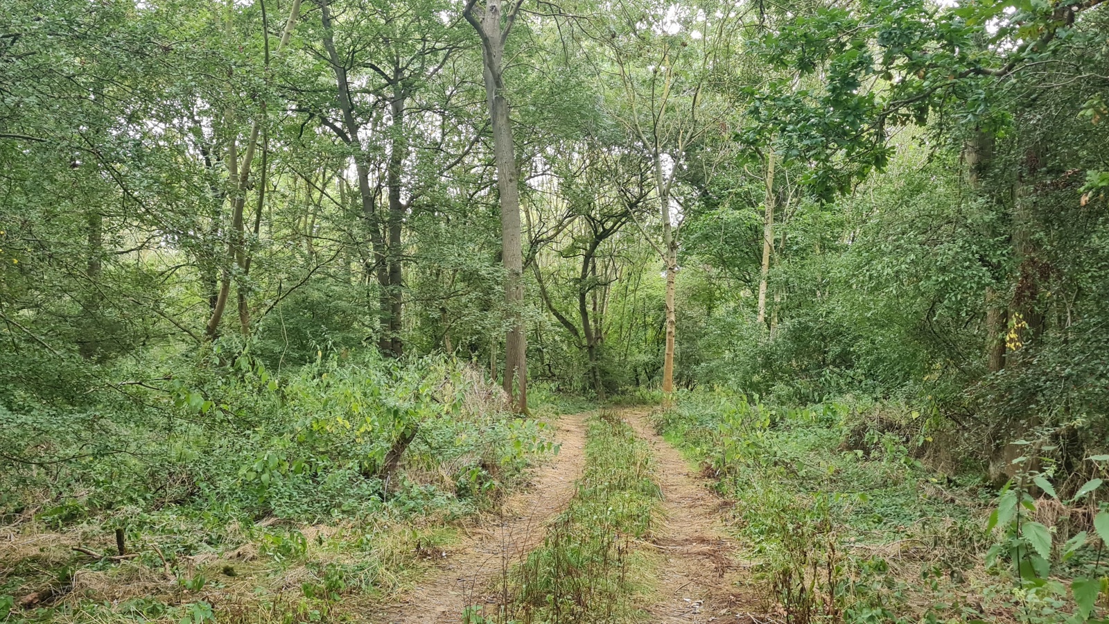 Image of 20230825_143105