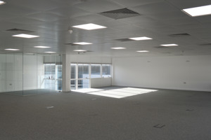  Linford Wood Business Park,  Sunrise Parkway,  Linford Wood,  Milton Keynes,  MK14 6LS picture 3