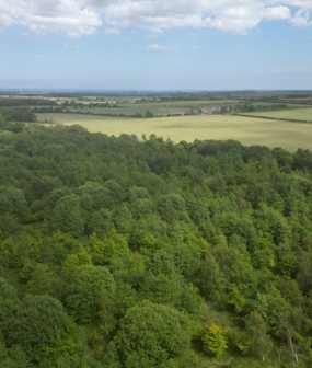 Earsdon West Forest Habitat Bank