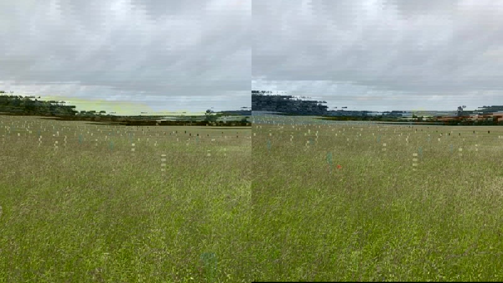 Image of lower-valley-farm-2