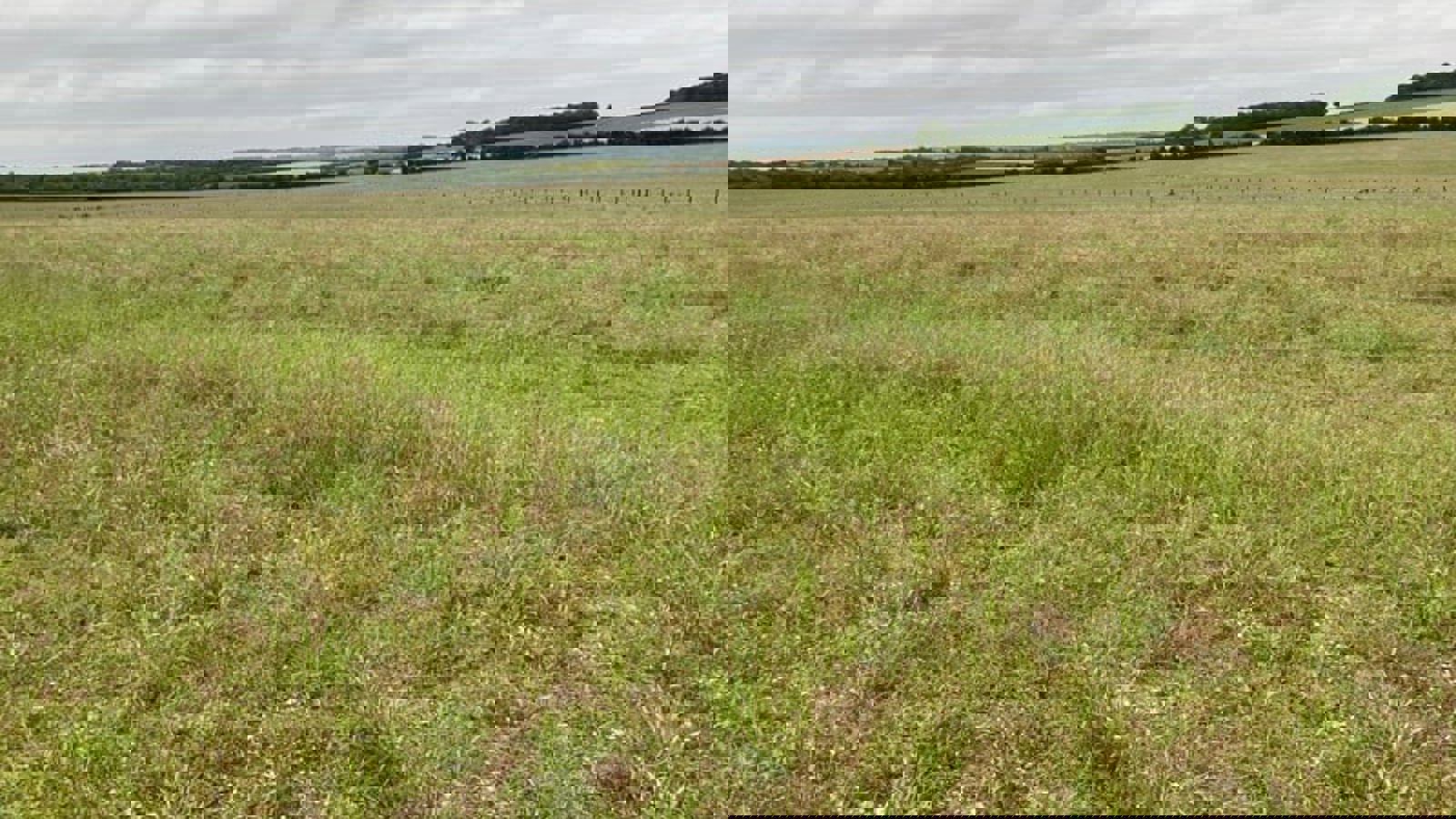 Image of lower-vally-farm-