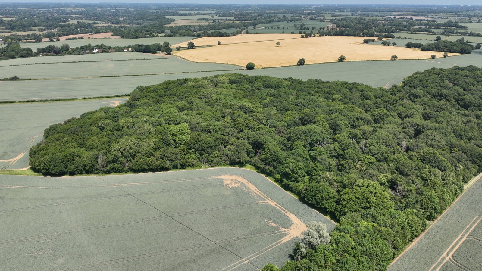 Image of DJI_20250613125811_0029_V