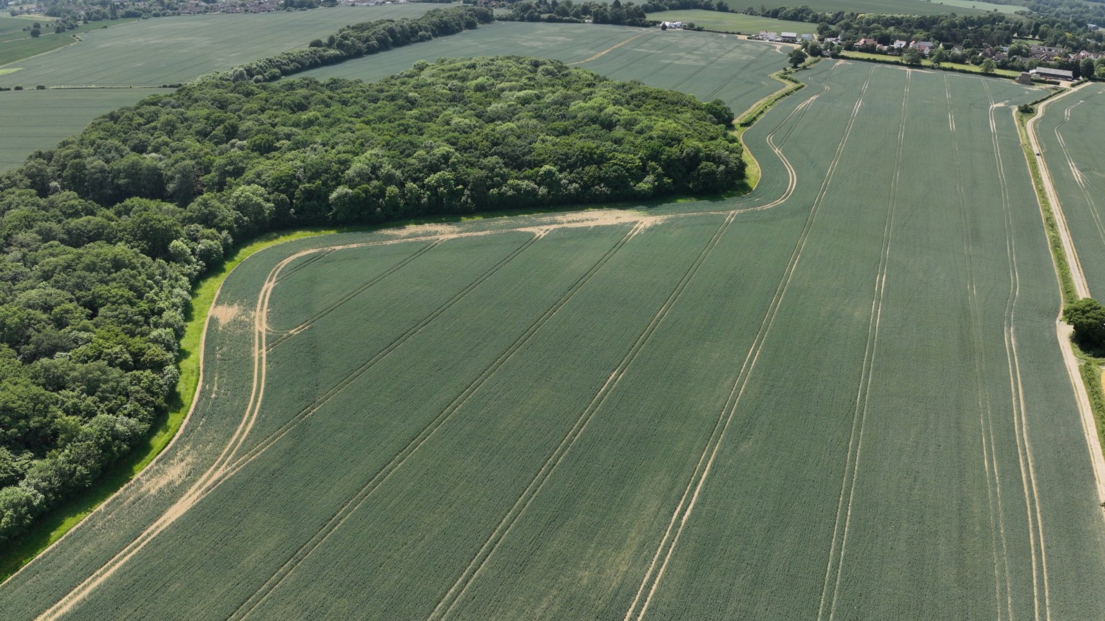 Image of DJI_20250613144417_0005_V