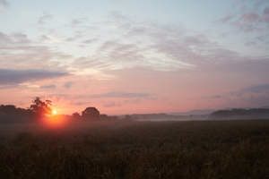 Horsham, South Downs National Park picture 5