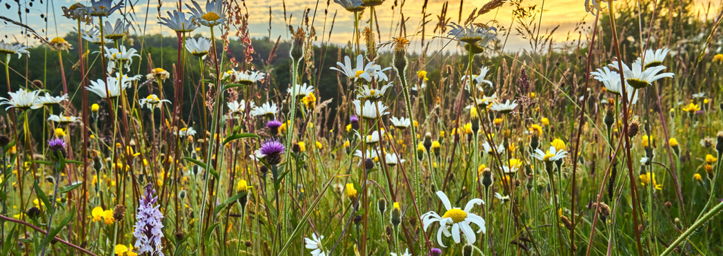 Image of North Yorkshire