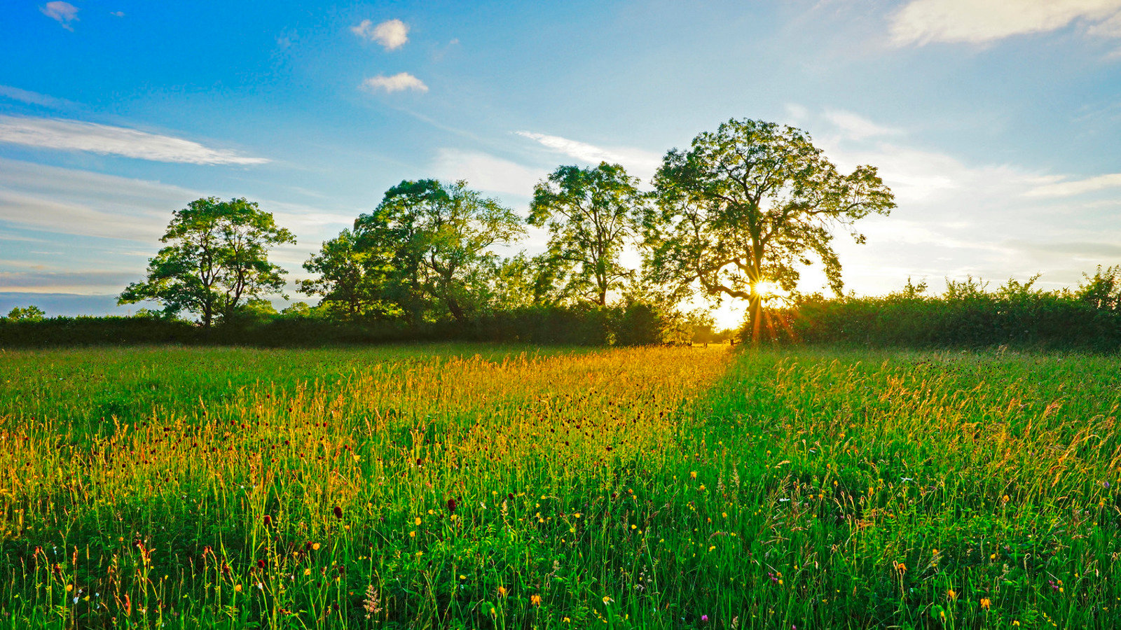 Image of Oxfordshire