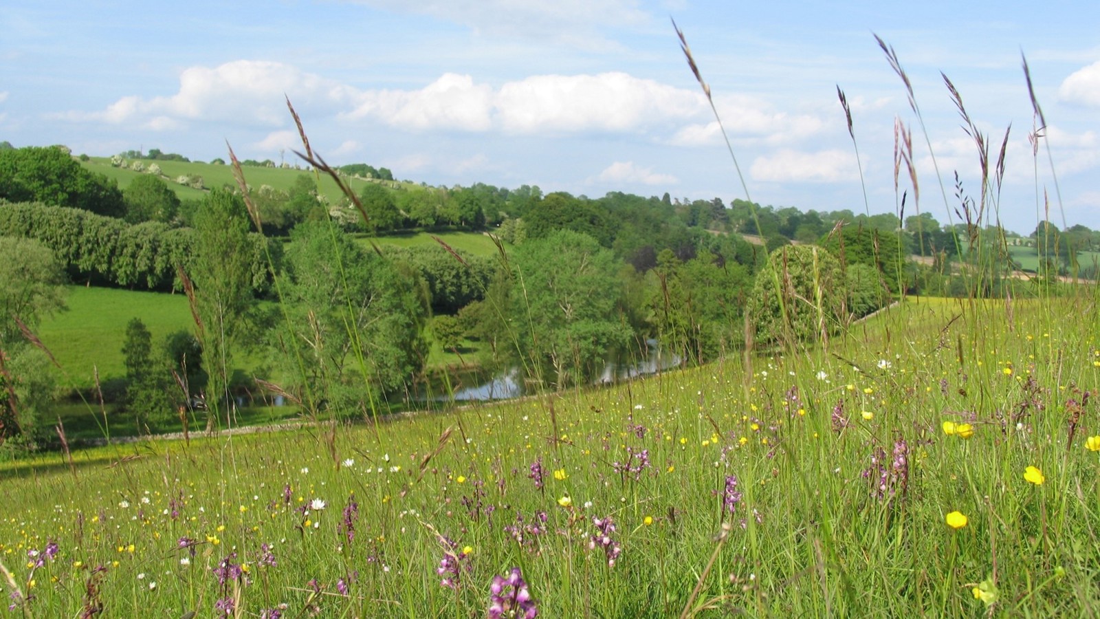 Image of Wiltshire