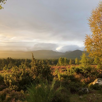 Cairngorm sunrise