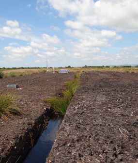 Image creditation: UKCEH