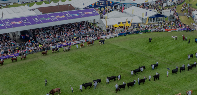 Image of Royal Highland show image