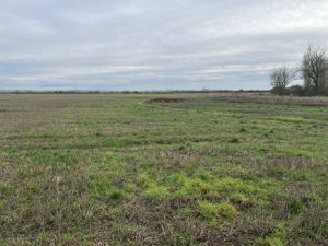 North Lincolnshire, West Lindsey picture 2