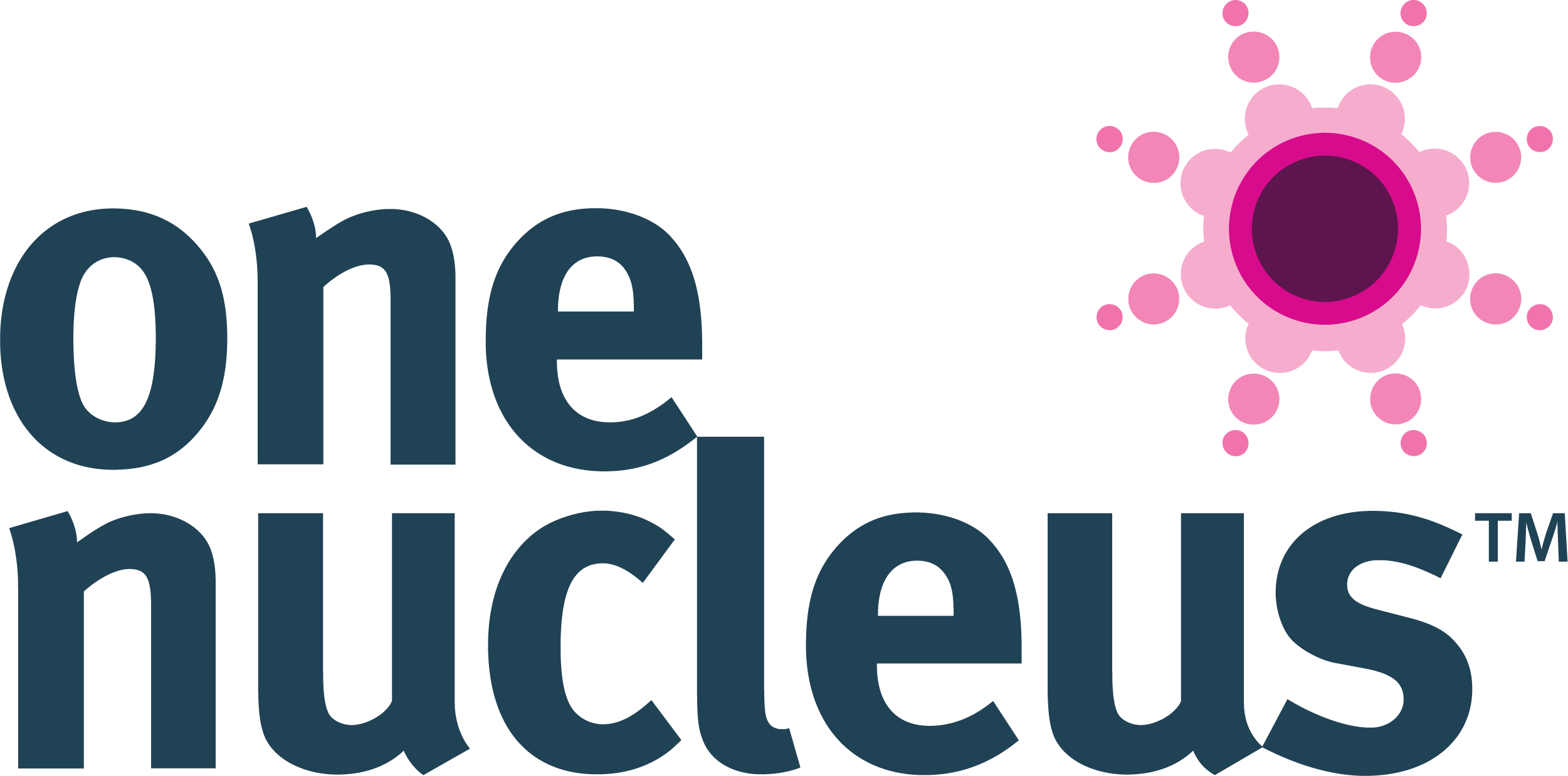 One Nucleus Logo