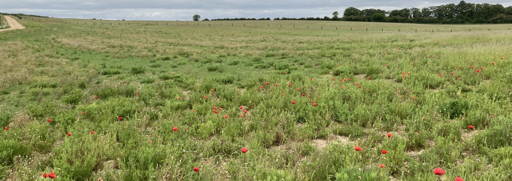 Image of Lower Valley Farm