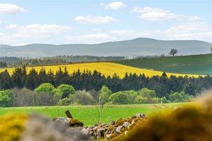 Aberdeenshire, AB32 7BP picture 3