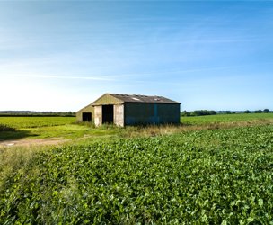 Great Tripps Barn, Shimpling Road picture 2