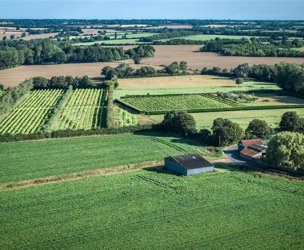 Great Tripps Barn, Shimpling Road picture 6