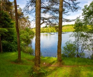 Kirkleegreen Reservoir and Land, Beith picture 6