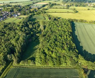 Land At Bainton, Peterborough picture 6