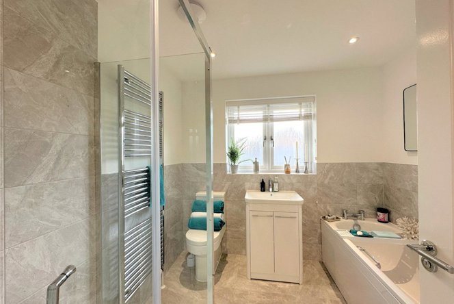 Image of picture-no.-21