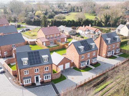 Image of Swanfield, Over 008 crop 2