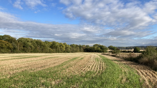 Image of Land at Silsoe