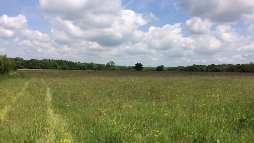 Image of Redheath Farm RKL180003_02_h