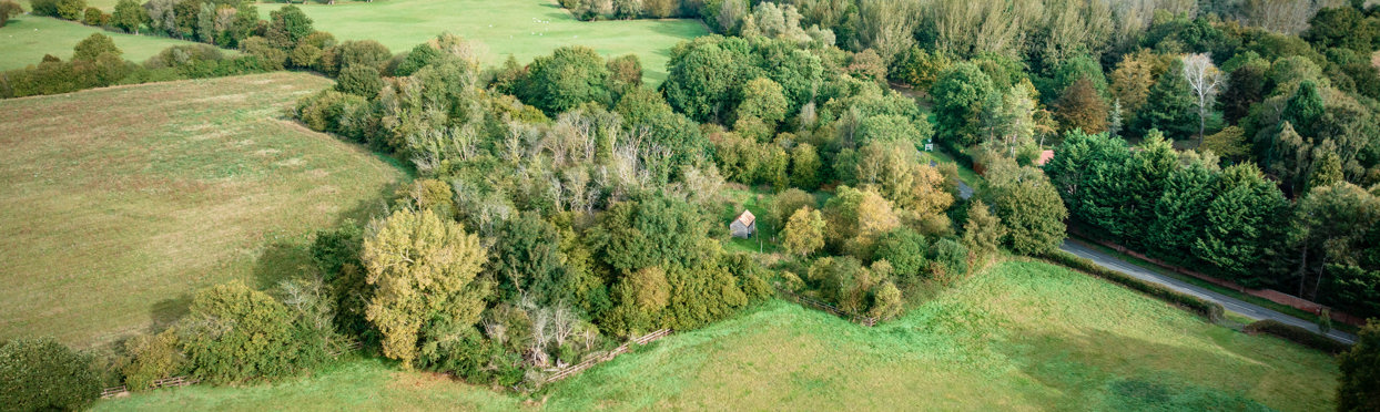 Image of Whittlesford woodland