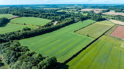 Image of Temple Guiting