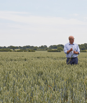 Breaking free from the input-output price dilemma: a guide for arable farmers