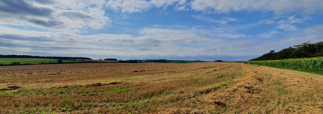 Cambridge County Council Lower Valley Farm (10)