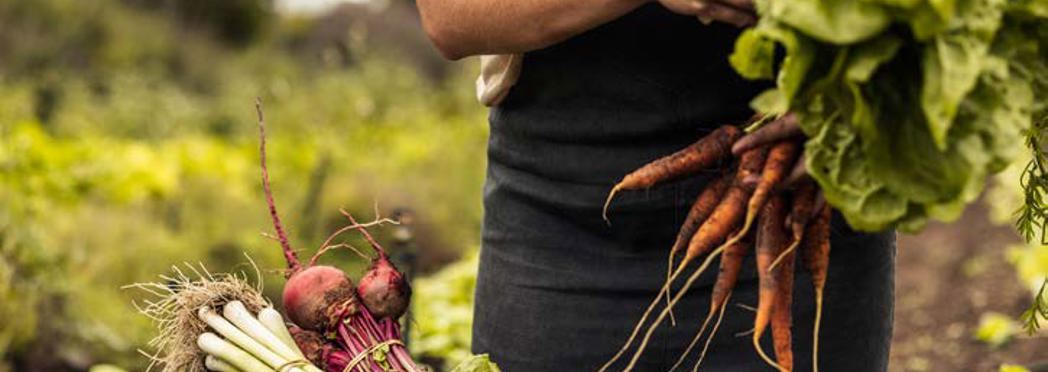 Image of Holding crops