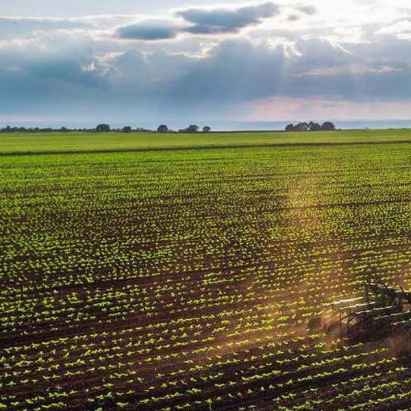 Image of Tractor on a field