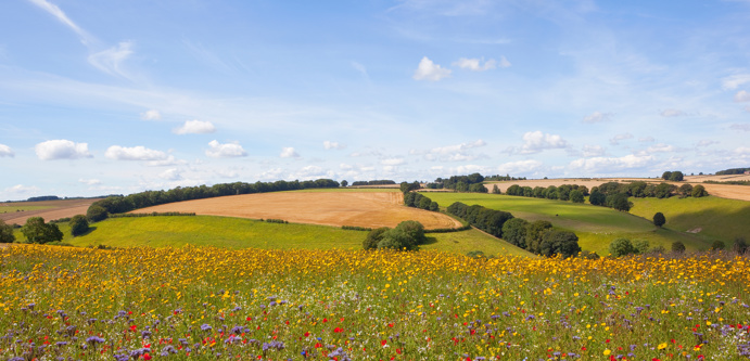 Image of AdobeStock_167963803