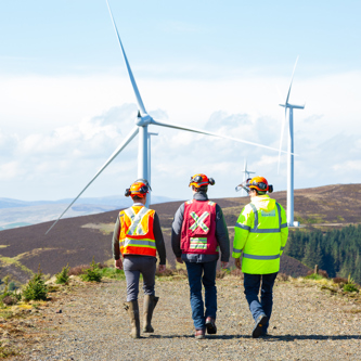 Image of Birnock Forest – Scotland 62