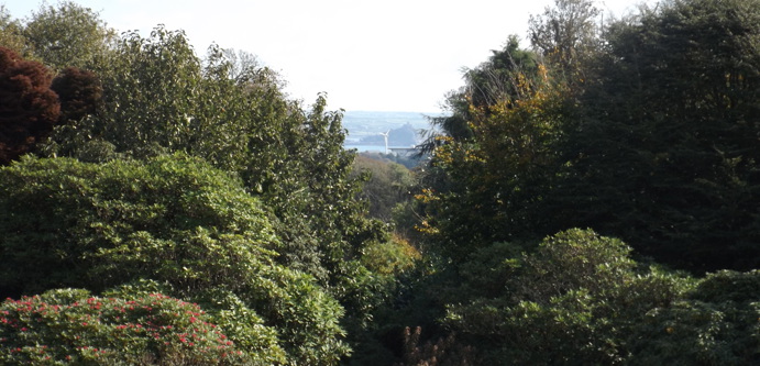 Windmill in Penzance