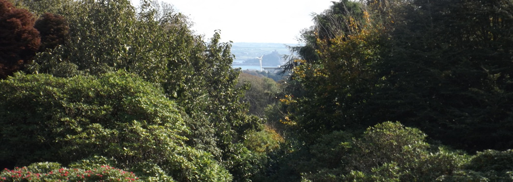 Windmill in Penzance